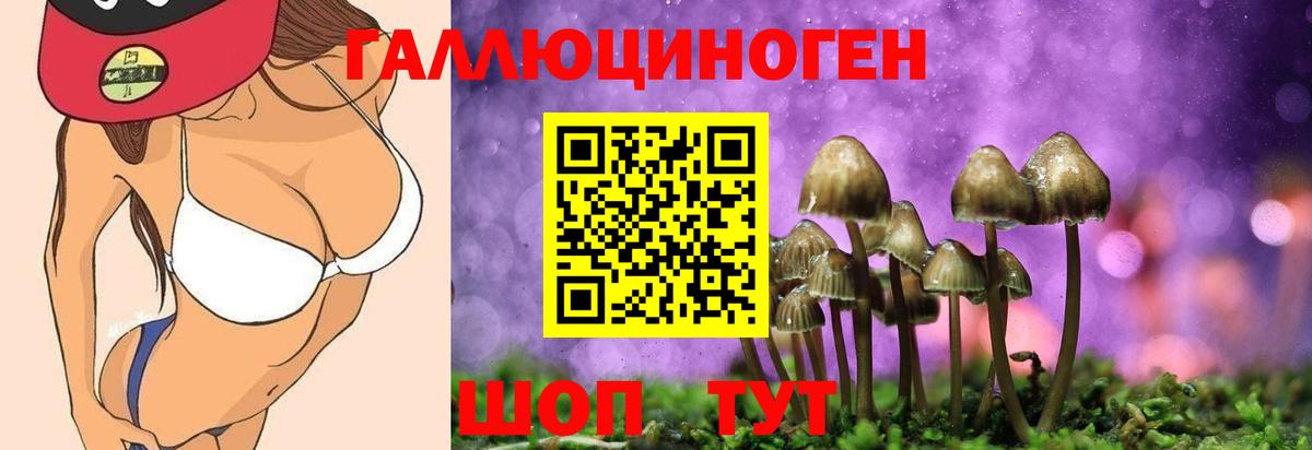 Псилоцибиновые грибы Psilocybe  хочу   Салават  Вход с VPN  Псилоцибиновые грибы GOLDEN TEACHER 