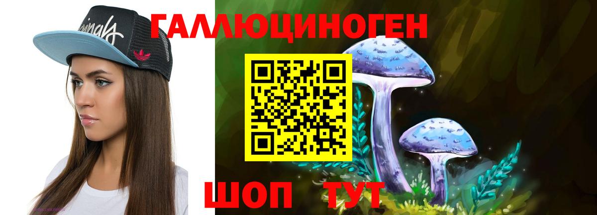 Псилоцибиновые грибы Psilocybe Салават